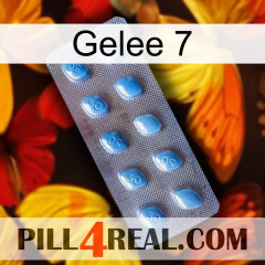 Jelly 7 viagra3